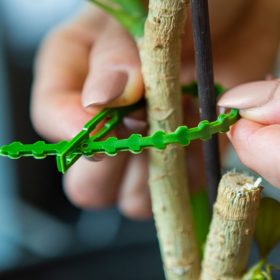   Növénykötöző - Oldható - Nyitható Kerti Kötöző 165mm (40 darab / csomag)