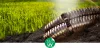 UV-resistant cable tie 920x9 for outdoor applications (100 pcs/package) SapiSelco [SEL.UVV2.154R]